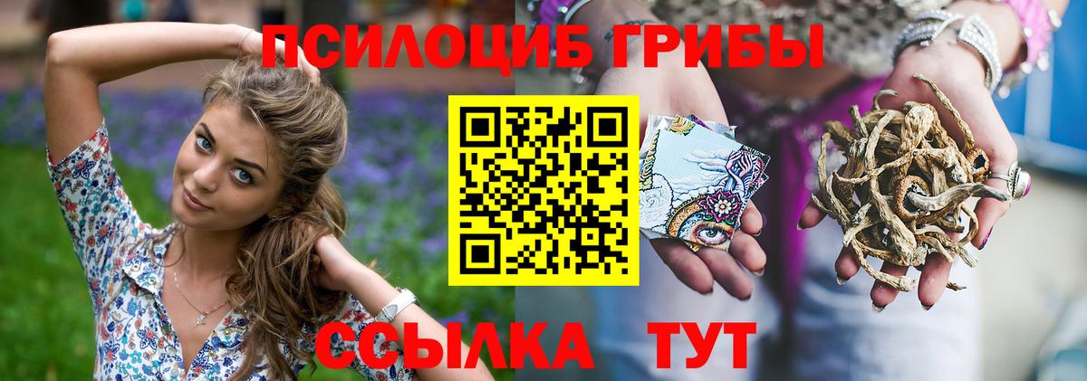 купить наркоту  Галлюциногенные грибы Psilocybe  Галлюциногенные грибы мухоморы  Вход с VPN  Шарыпово 